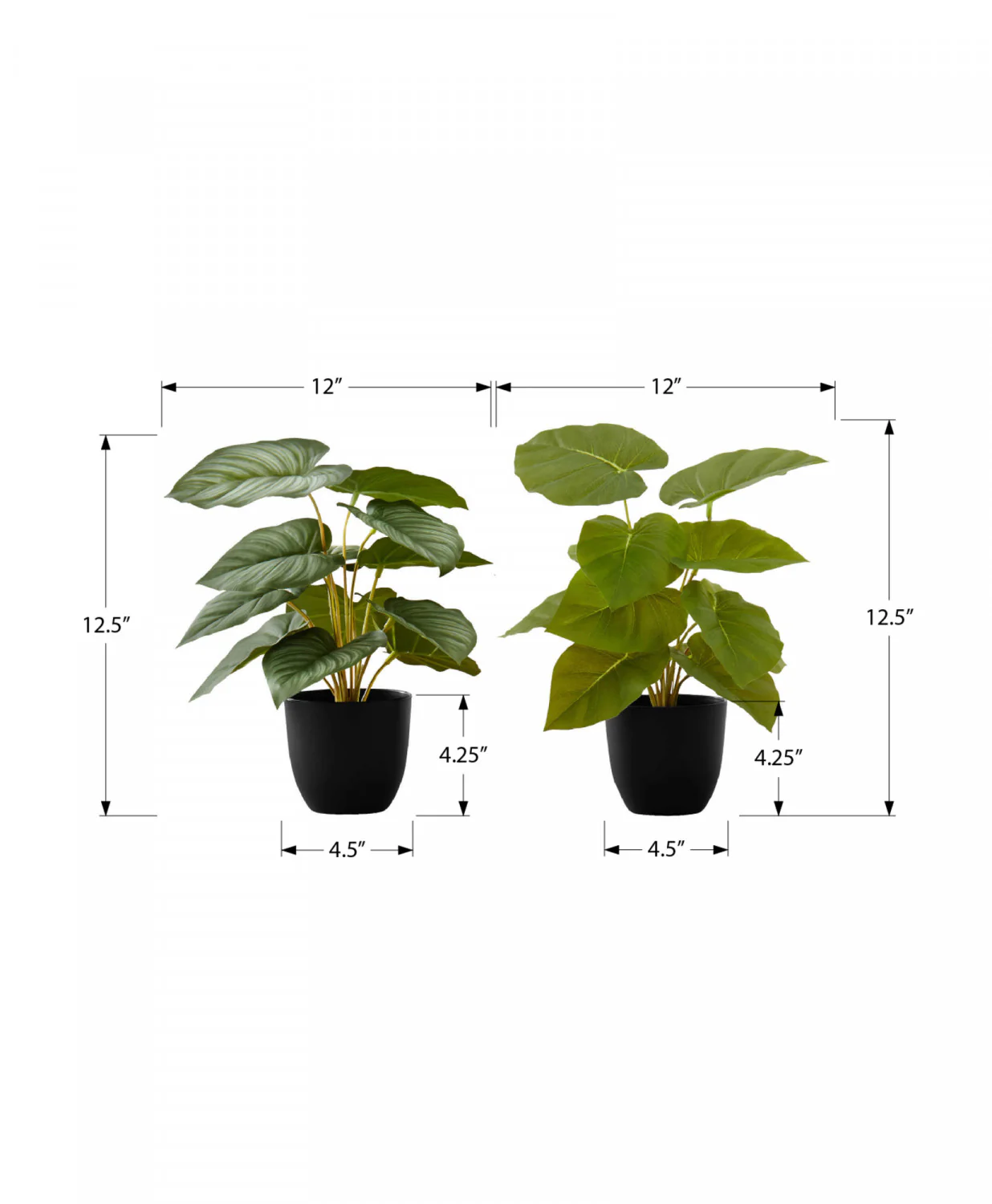 13" Epipremnum Plant With 4" Black Pot - Green - Set Of Two - Image 3