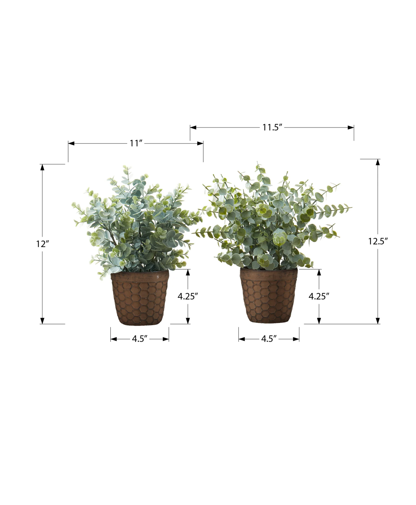 13" Eucalyptus and Grass Plants with 5" Brown Pot - Green - Set of Two - Image 4