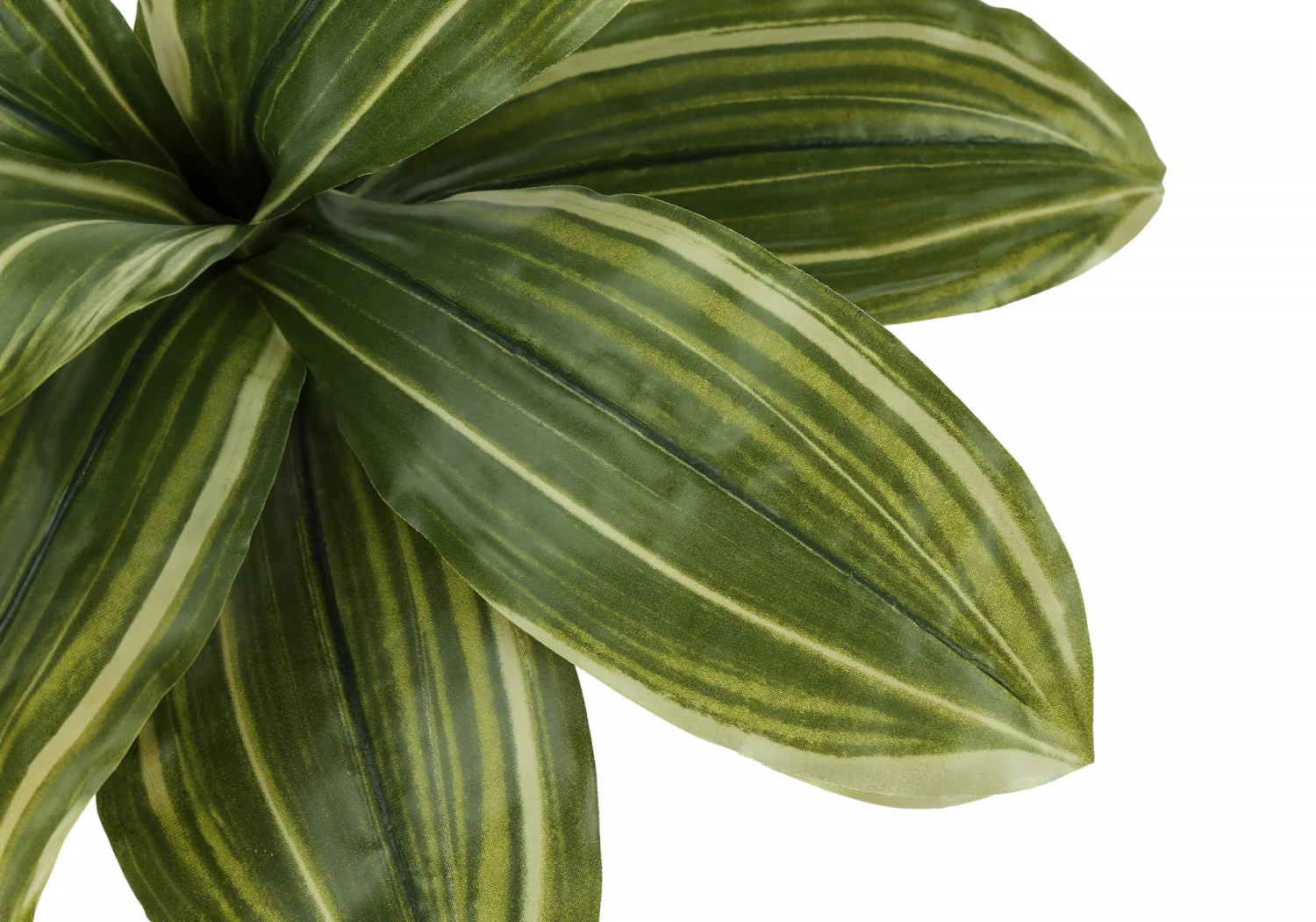 17" Dracaena Plant With 4" Black Pot - Green - Image 5
