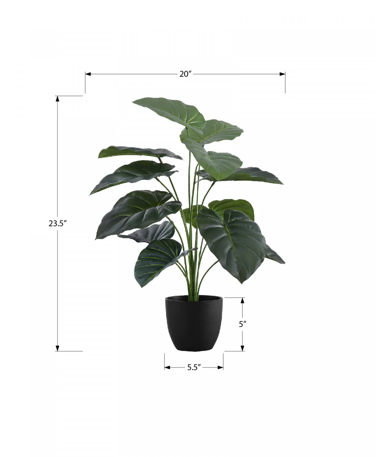 24" Alocasia Plant With 5" Black Pot - Green - Image 3