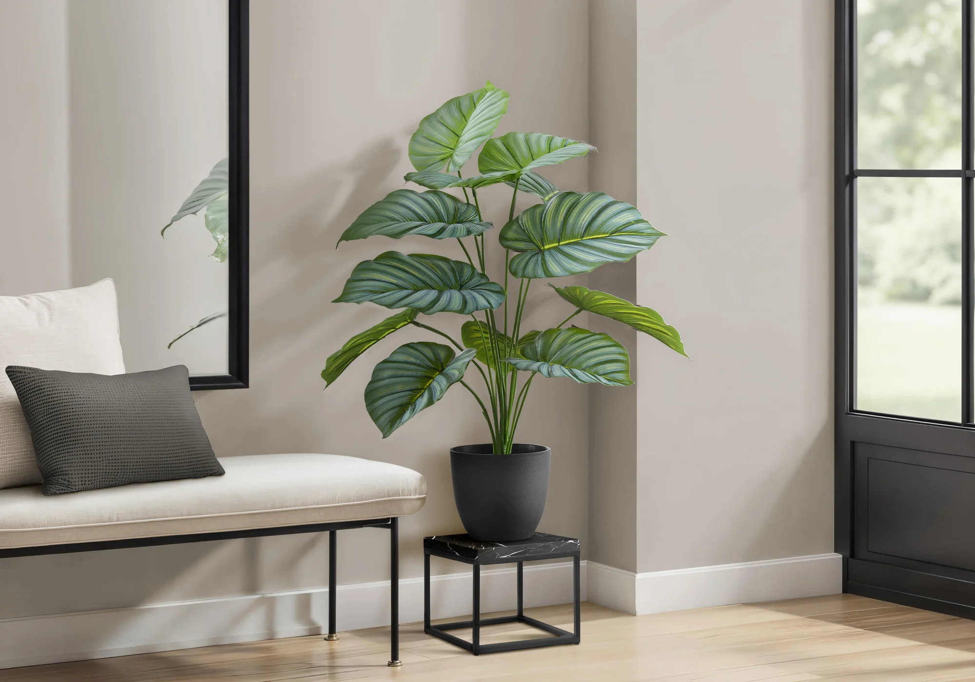 24" Calathea Plant With 5" Black Pot - Green - Image 2