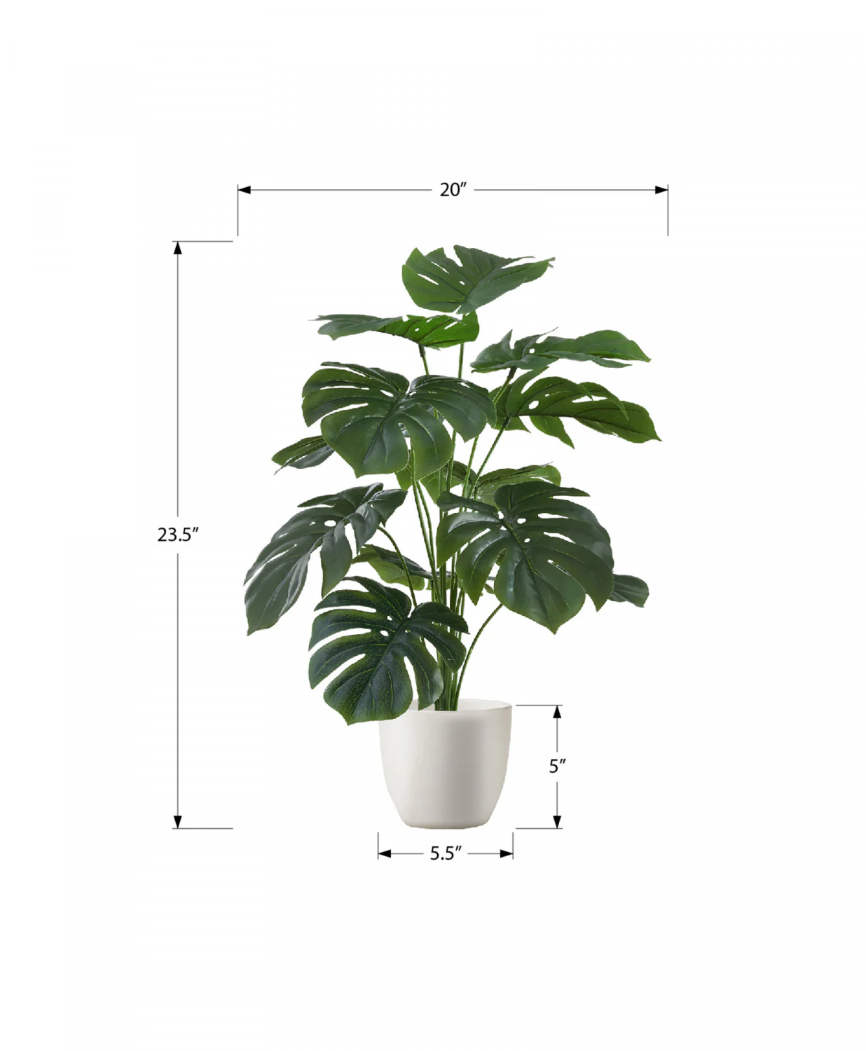 24" Monstera Plant With 5" Black Pot - Green - Image 3