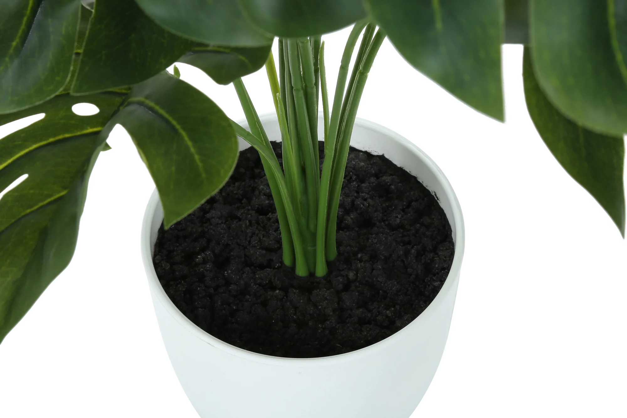 24" Monstera Plant with 5" White Pot - Green - Set of Two - Image 4