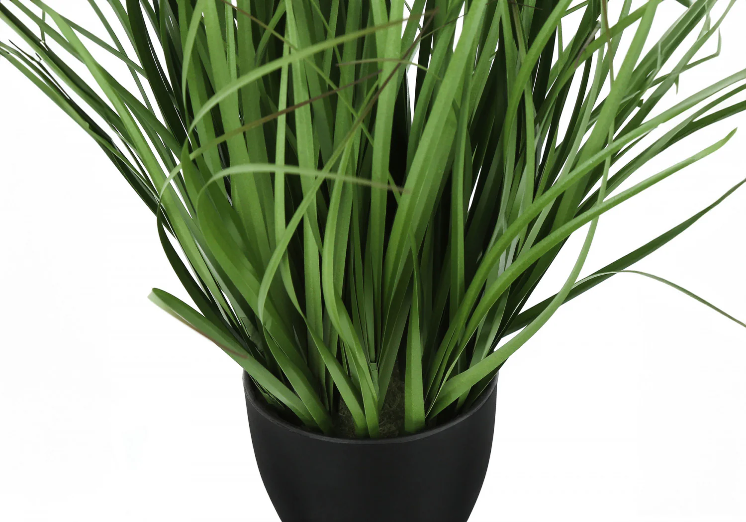 26" Grass Plant With 4" Black Pot - Green - Image 4