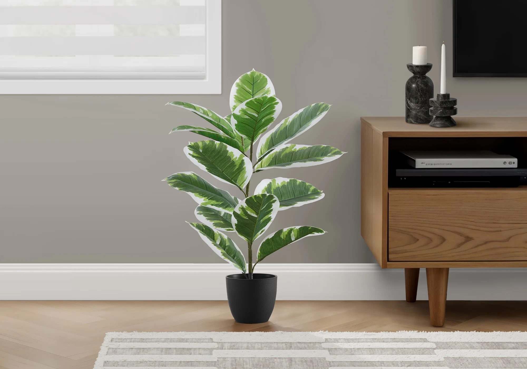 27" Rubber Plant With 5" Black Pot - Green - Image 2