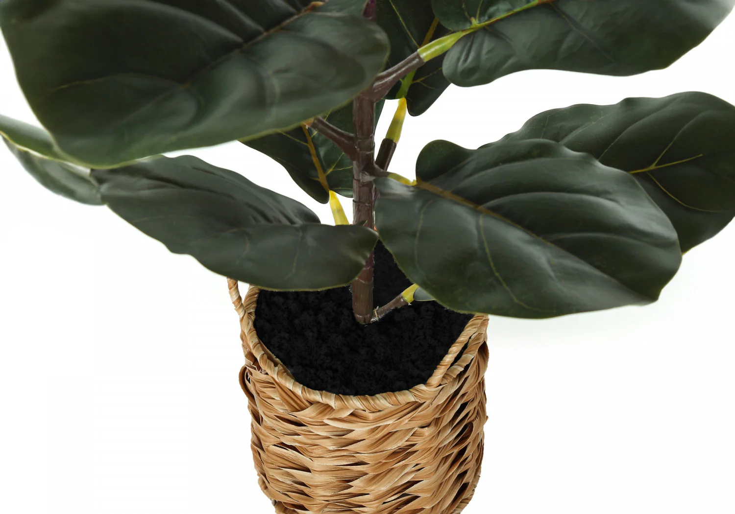 28" Fiddle Tree With 8" Woven Basket Pot - Green - Image 4
