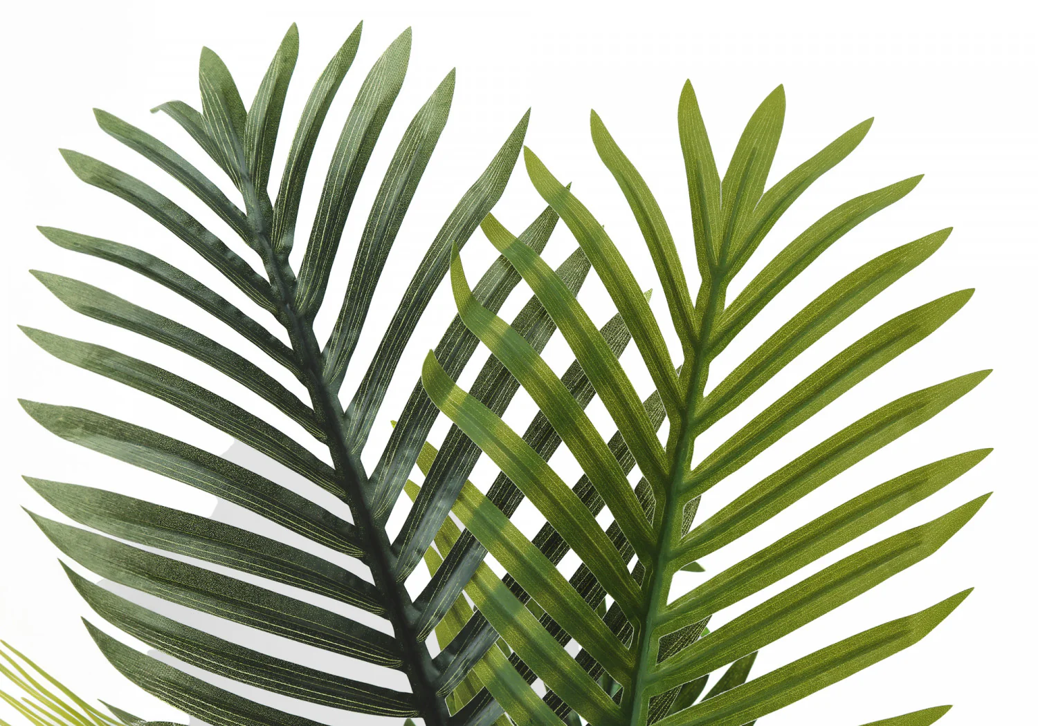 28" Palm Tree With 6" White Pot - Green - Image 5