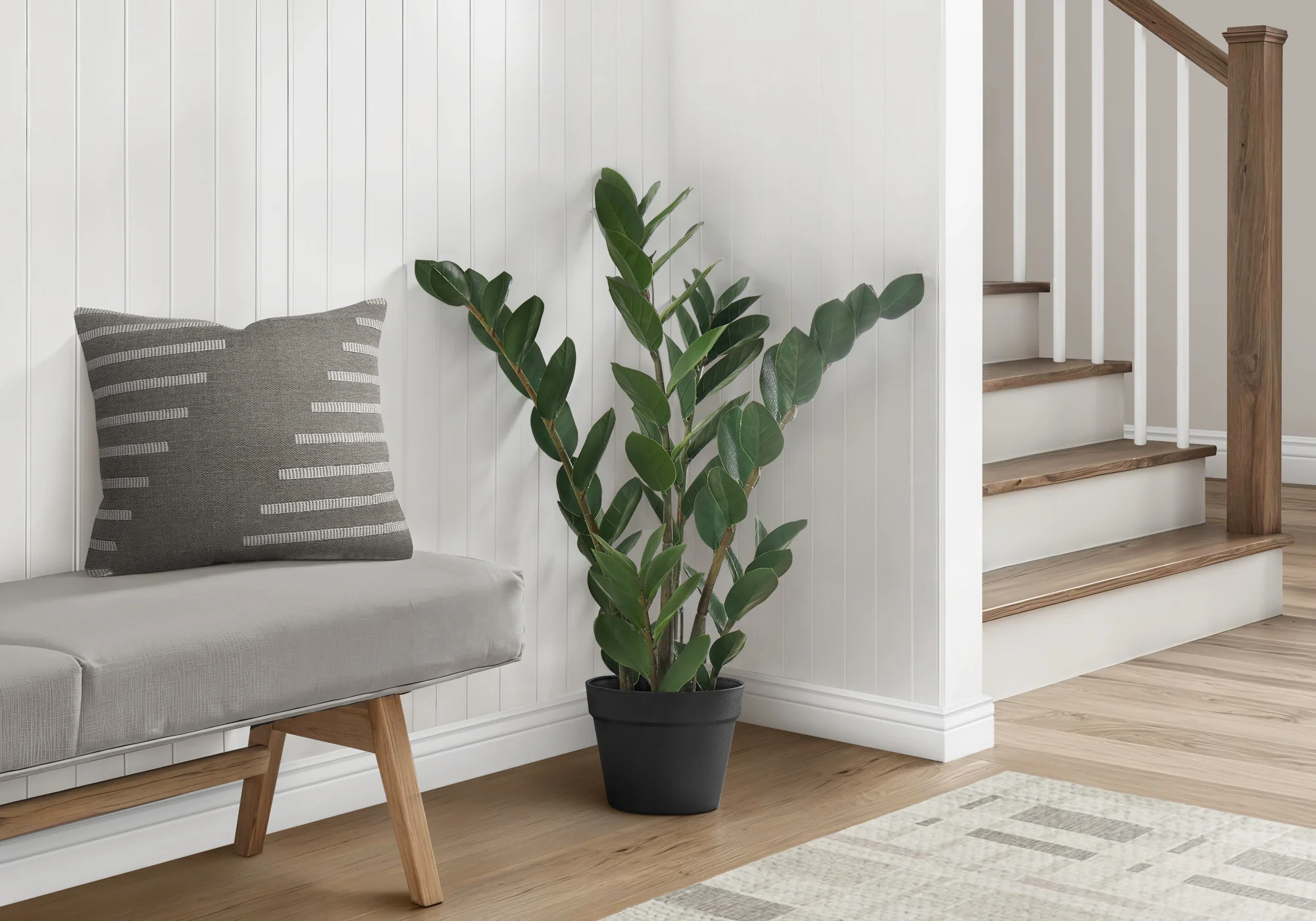 29" ZZ Plant With 6" Black Pot - Green - Image 2