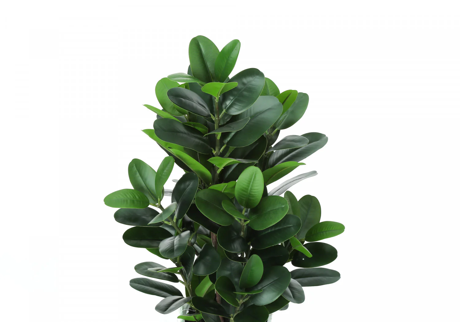 31" Garcinia Tree With 7" Marble-look Pot - Green - Image 6