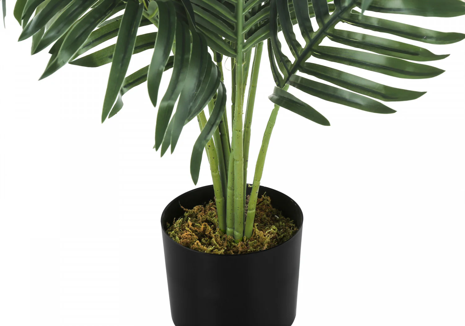 34" Palm Tree With 5" Black Pot - Green - Image 4