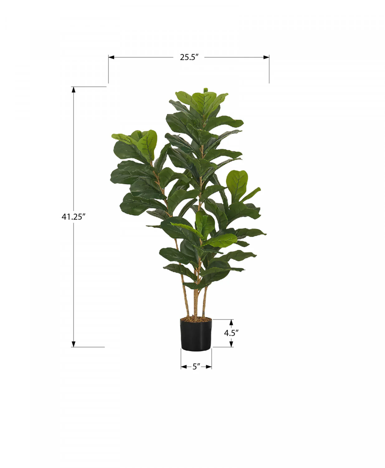 41" Fiddle Tree With 5" Black Pot - Green - Image 3