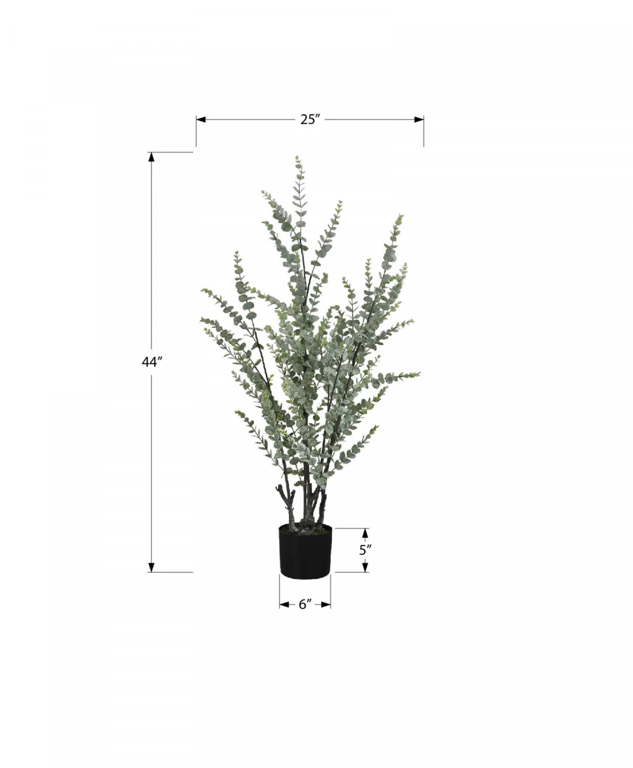 44" Eucalyptus Plant With 5" Black Pot - Green - Image 3