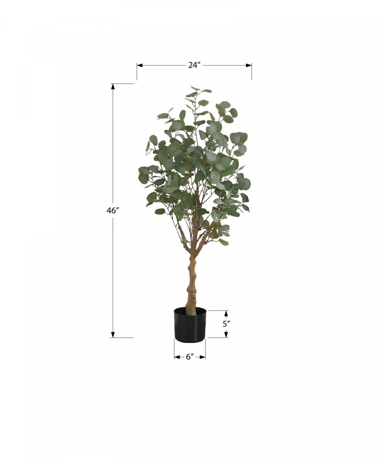 46" Eucalyptus Tree With 5" Black Pot - Green - Image 3