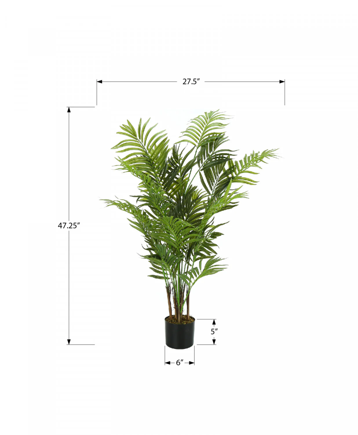 47" Areca Tree With 5" Black Pot - Green - Image 3