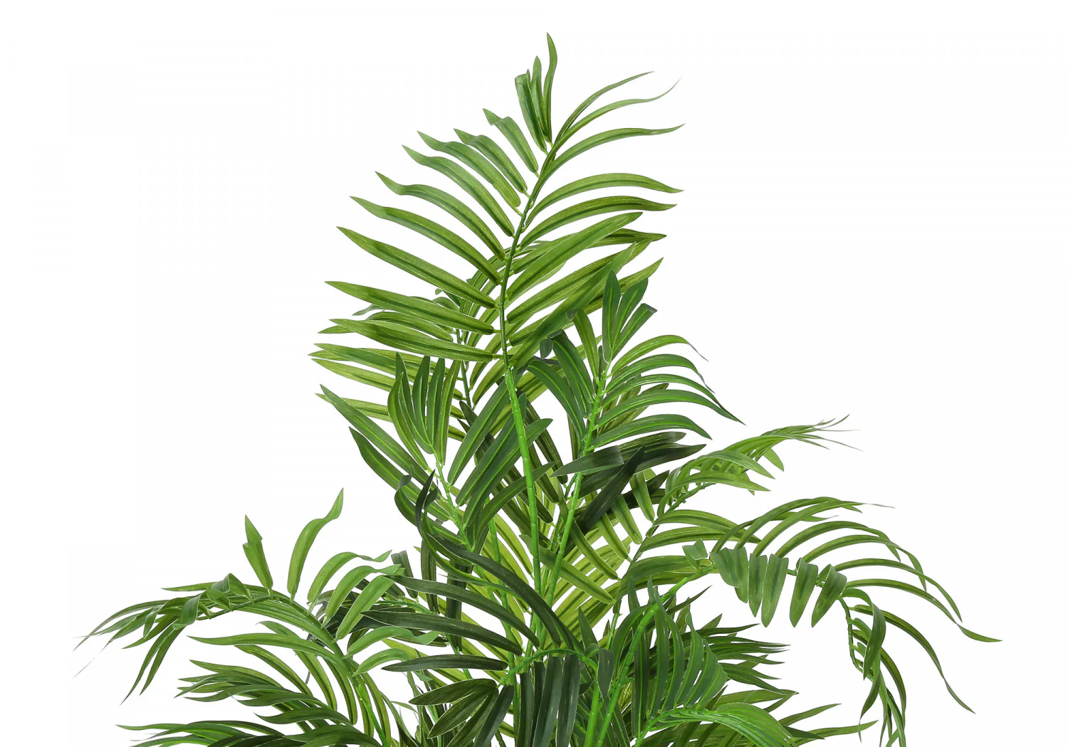 47" Areca Tree With 5" Black Pot - Green - Image 6