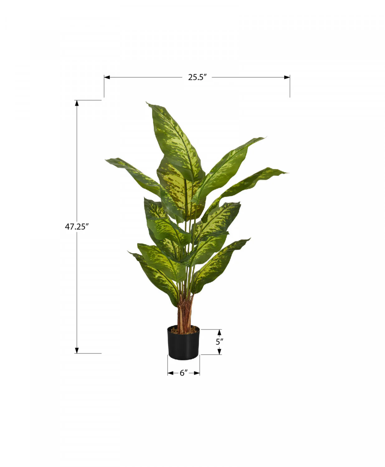47" Evergreen Plant With 5" Black Pot - Green - Image 3