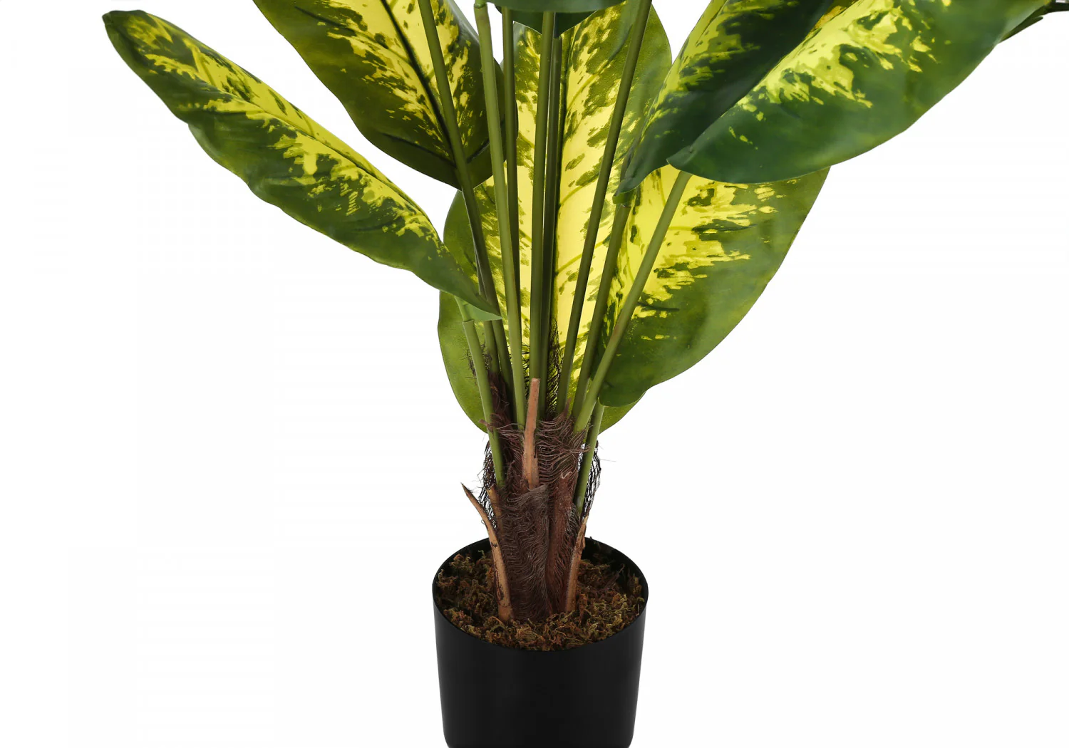 47" Evergreen Plant With 5" Black Pot - Green - Image 4
