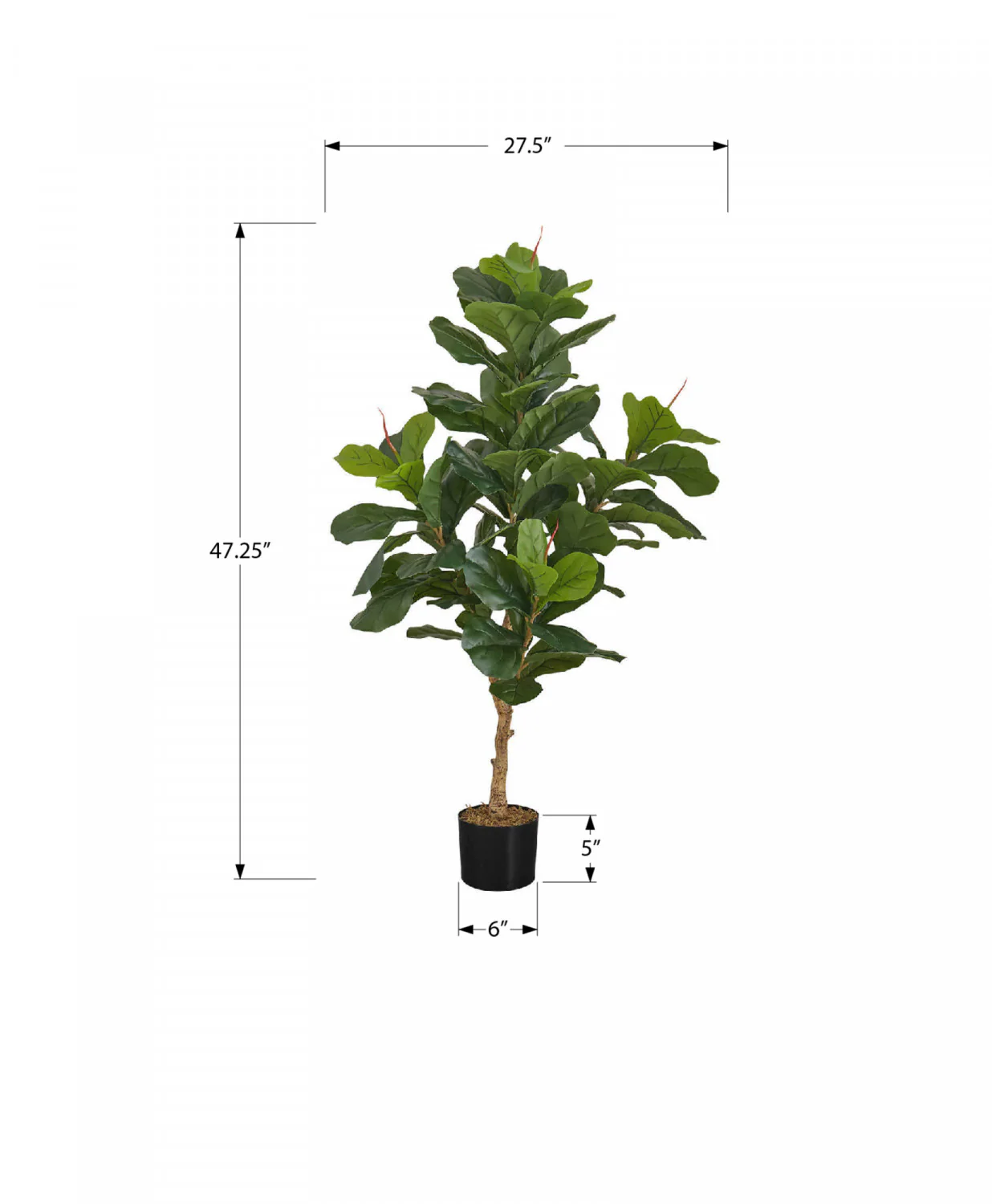 47" Fiddle Tree With 5" Black Pot - Green - Image 3