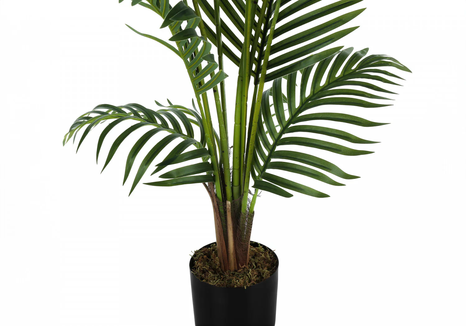 47" Palm Tree With 5" Black Pot - Green - Image 4