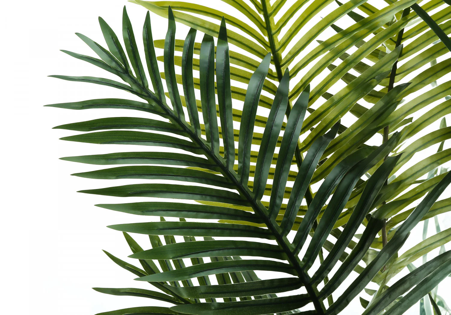47" Palm Tree With 5" Black Pot - Green - Image 5