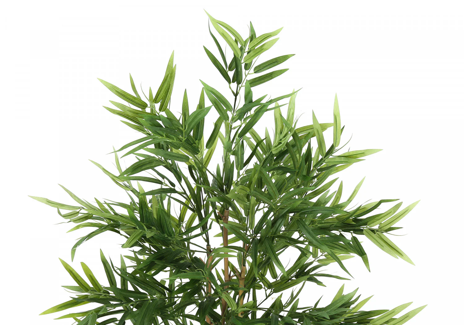 50" Bamboo Tree With 5" Black Pot - Green - Image 6