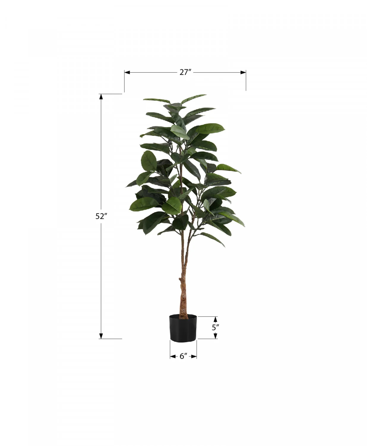 52" Rubber Tree With 5" Black Pot - Green - Image 3