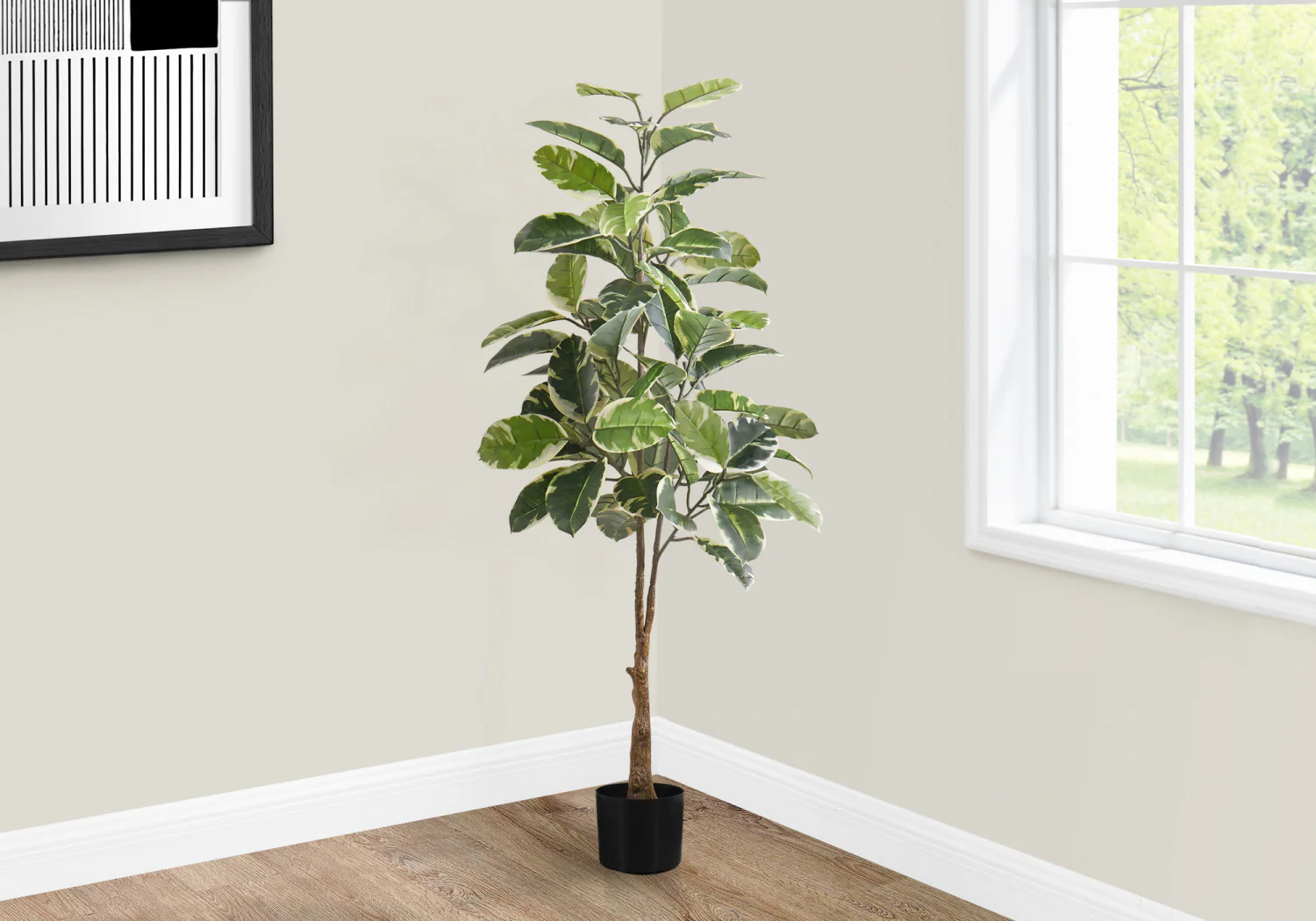 52" Rubber Tree With 5" Black Pot - Green/White - Image 2