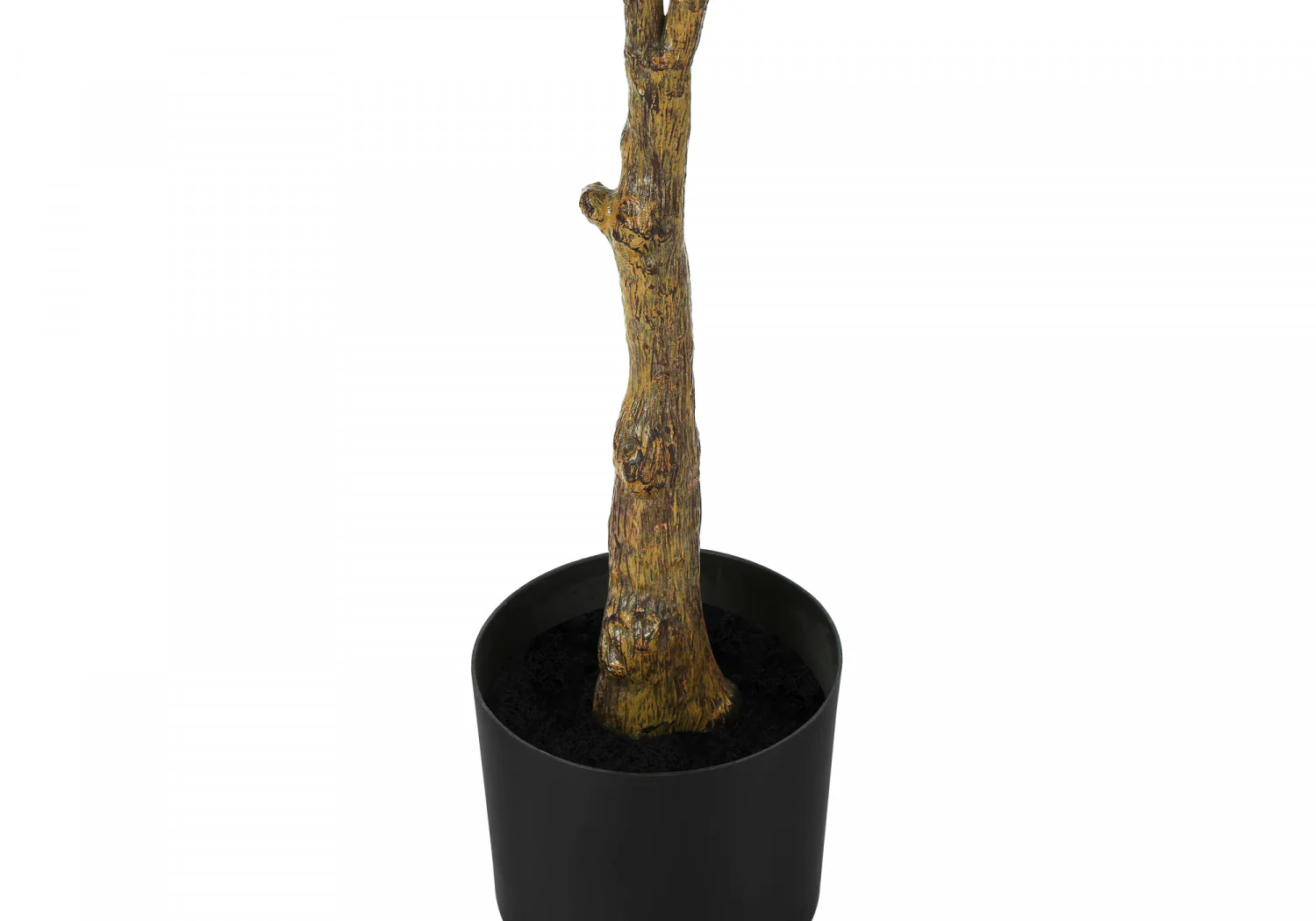 52" Rubber Tree With 5" Black Pot - Green/White - Image 4