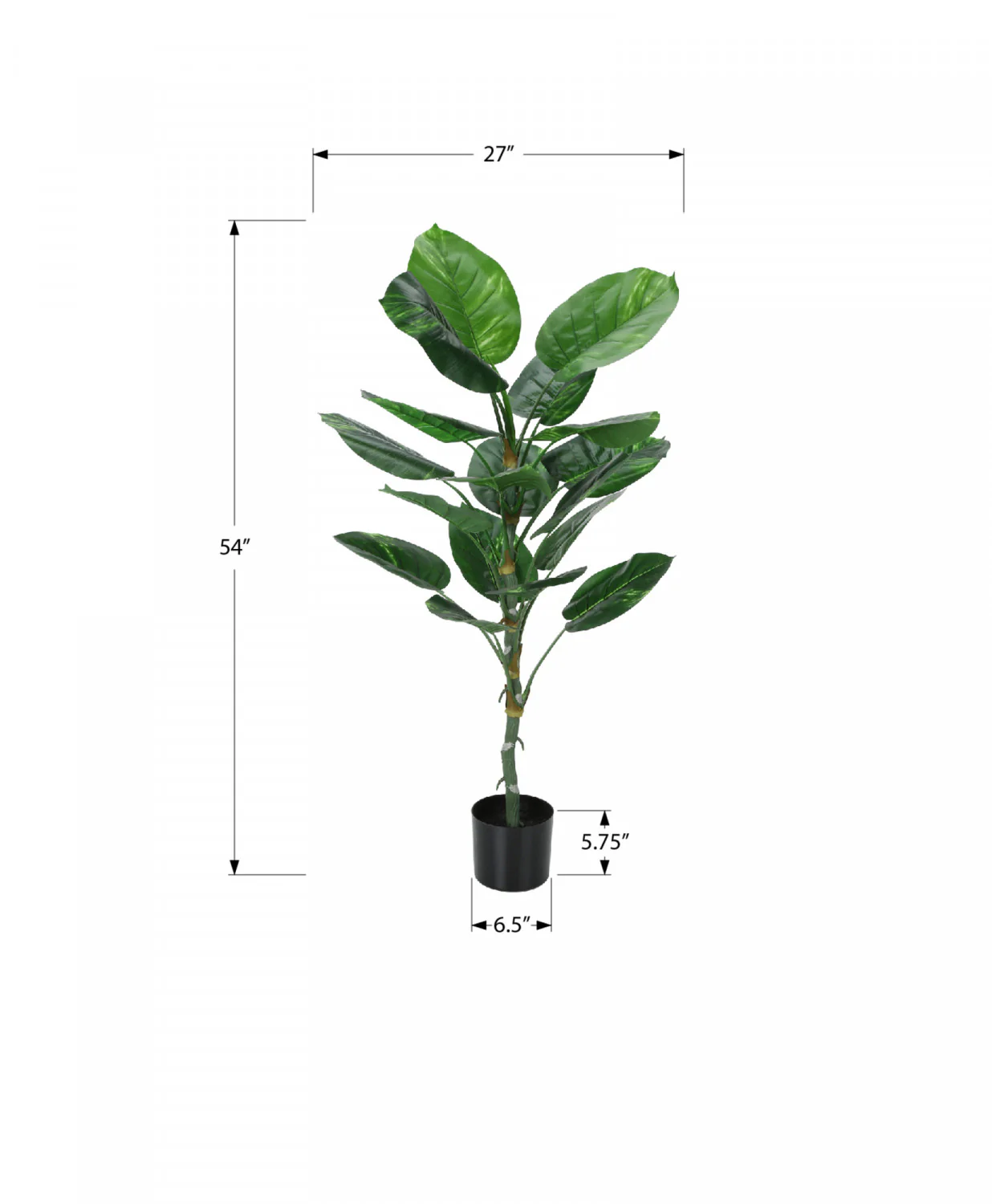 54" Dieffenbachia Tree With 6" Black Pot - Green - Image 3