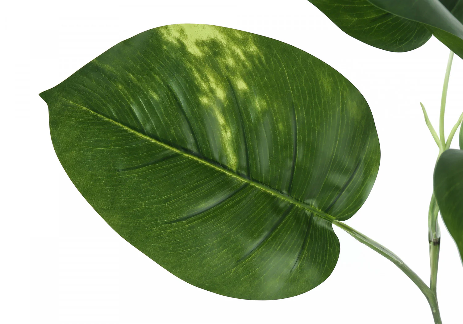 54" Dieffenbachia Tree With 6" Black Pot - Green - Image 5