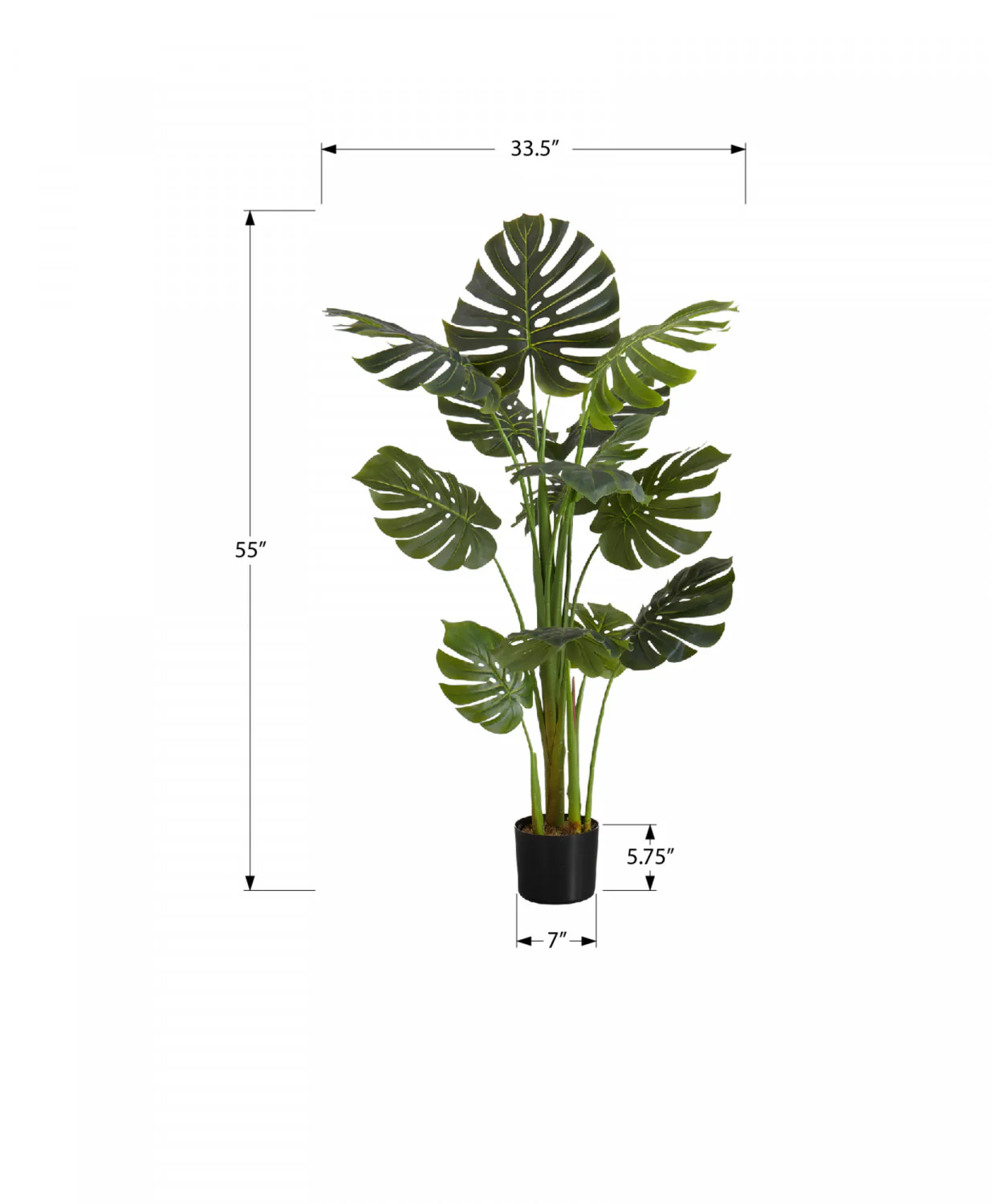 55" Monstera Plant With 6" Black Pot - Green - Image 3
