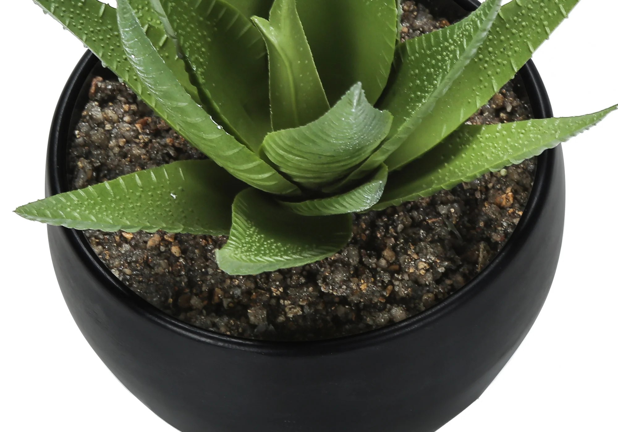 6" Succulent Plant with Black Pot - Green - Set of 3 - Image 6