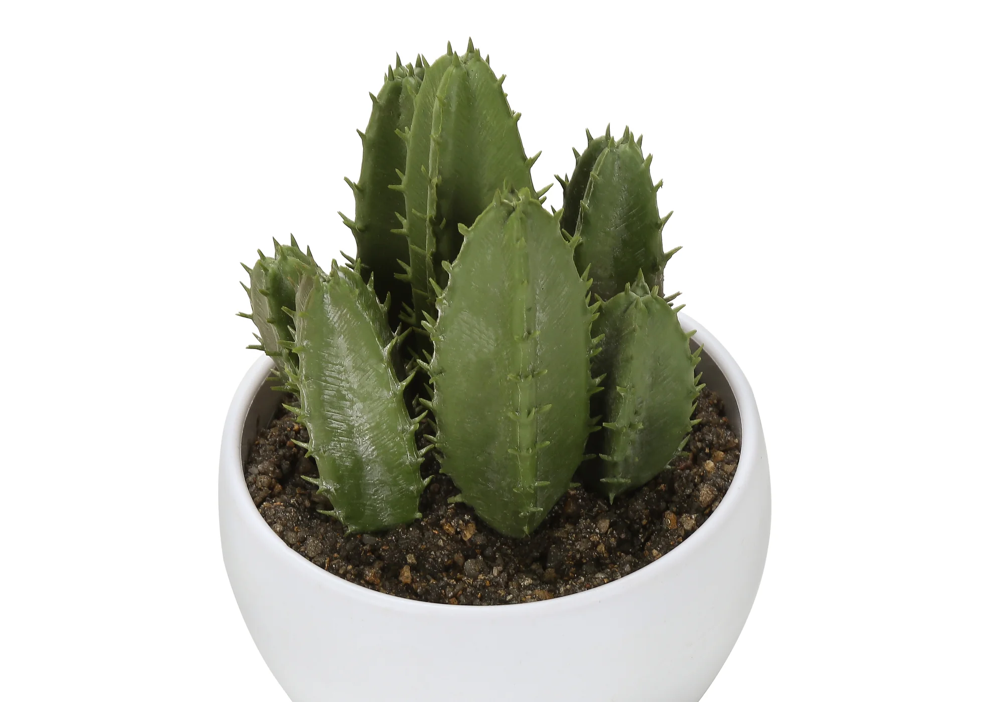 6" Succulent Plant with White Pot - Green - Set of 3 - Image 5