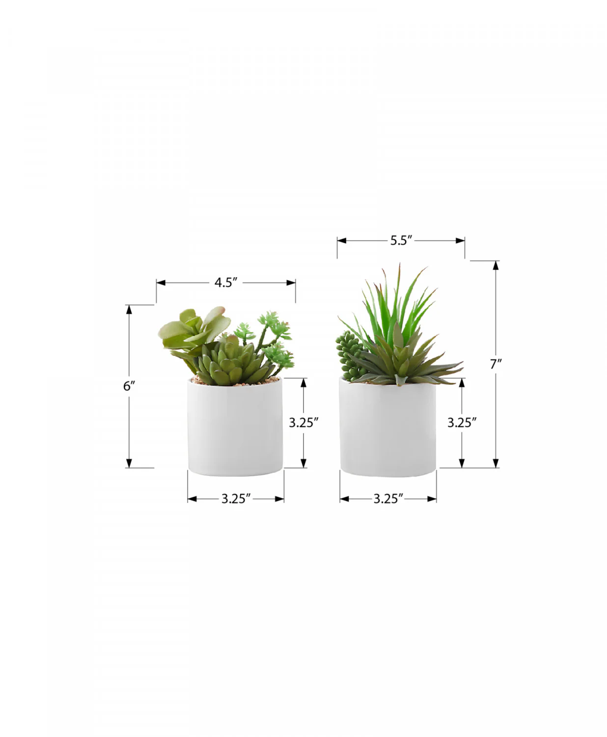 7" Succulent Plant with 3" White Pot - Green - Set of Two - Image 2