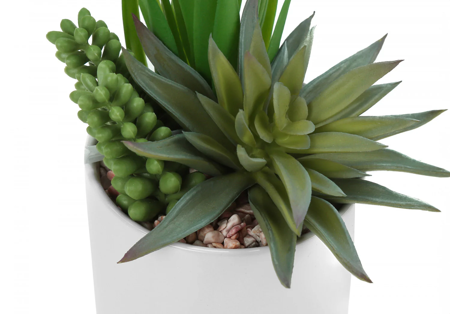 7" Succulent Plant with 3" White Pot - Green - Set of Two - Image 4