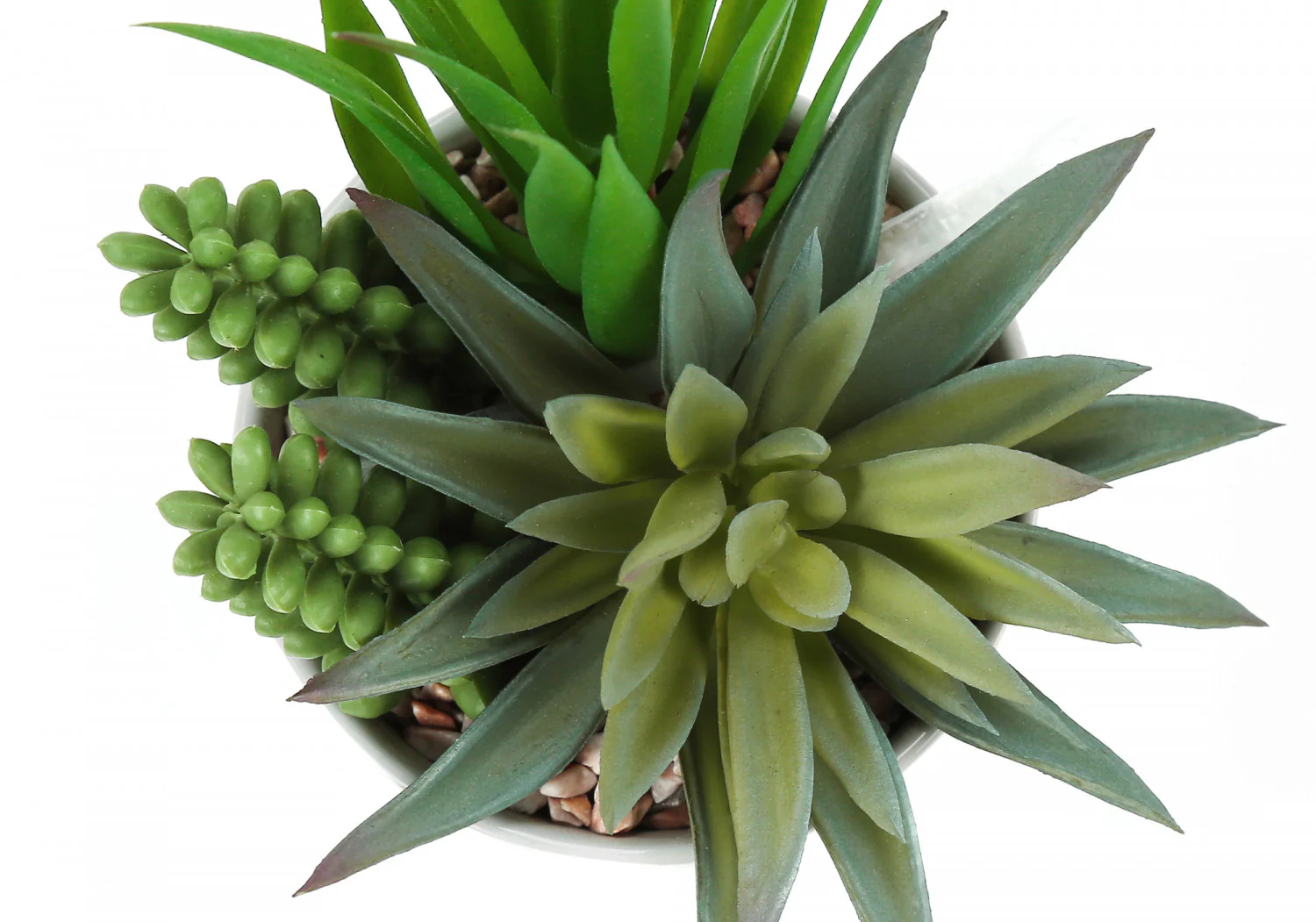 7" Succulent Plant with 3" White Pot - Green - Set of Two - Image 5