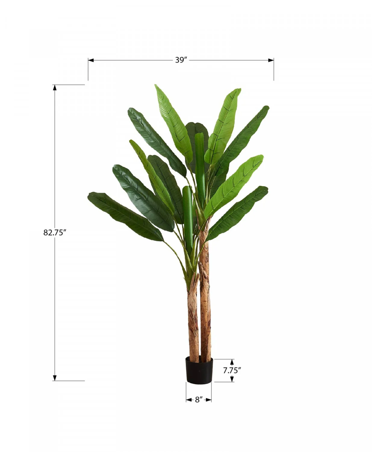 83" Banana Tree With 8" Black Pot - Green - Image 3
