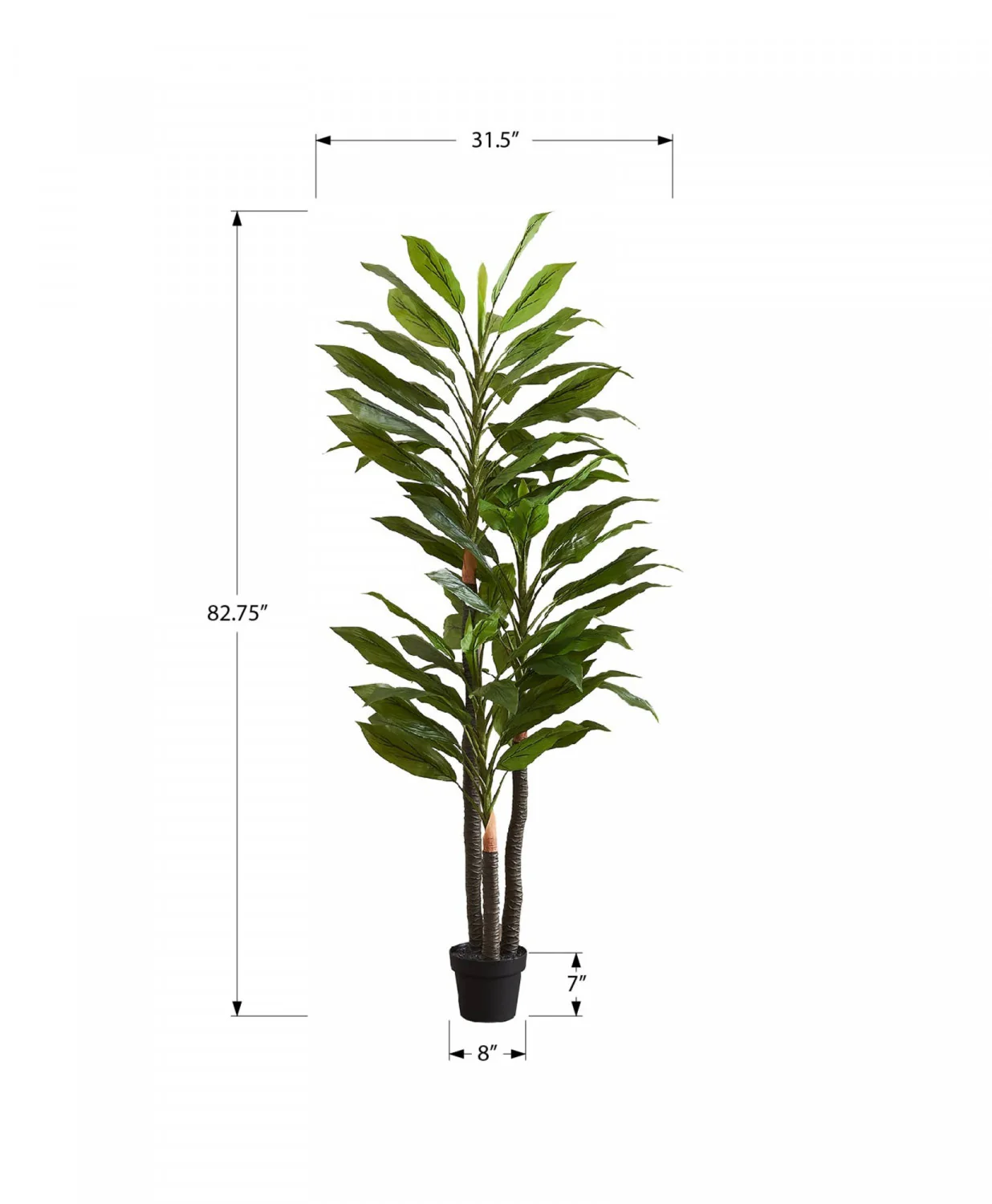 83" Dracaena Tree With 8" Black Pot - Green - Image 3