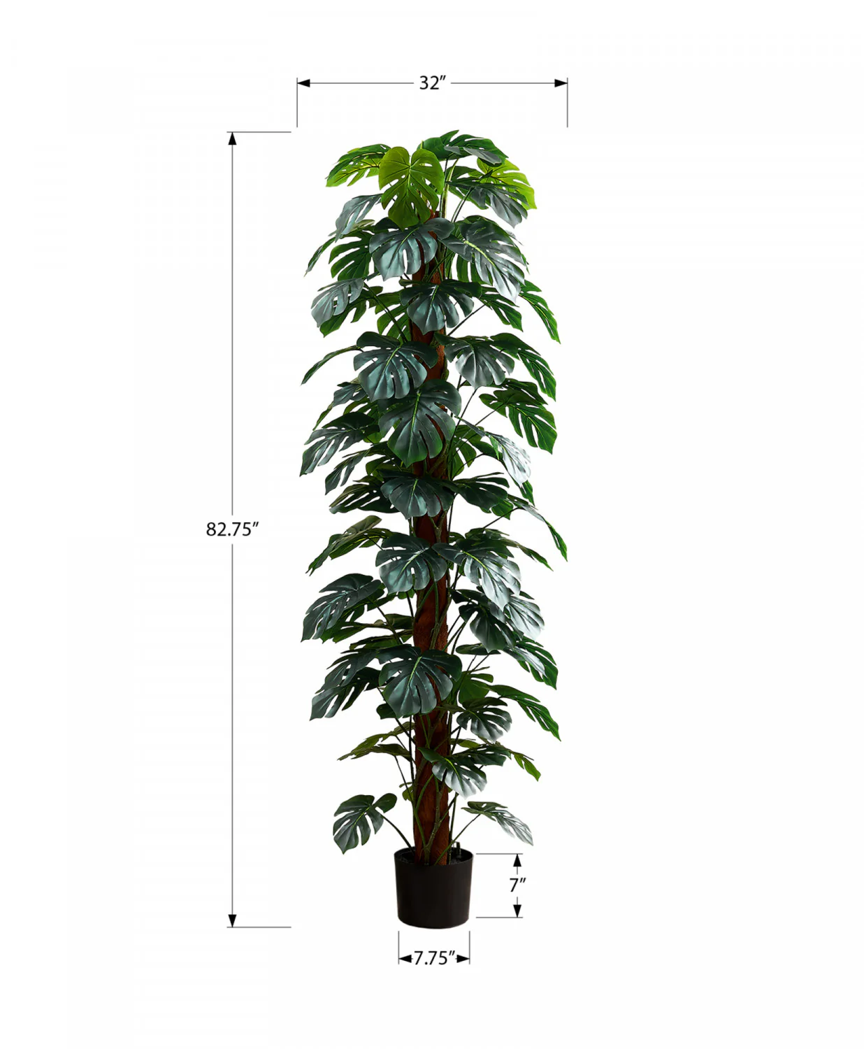 83" Monstera Plant With 8" Black Pot - Green - Image 3