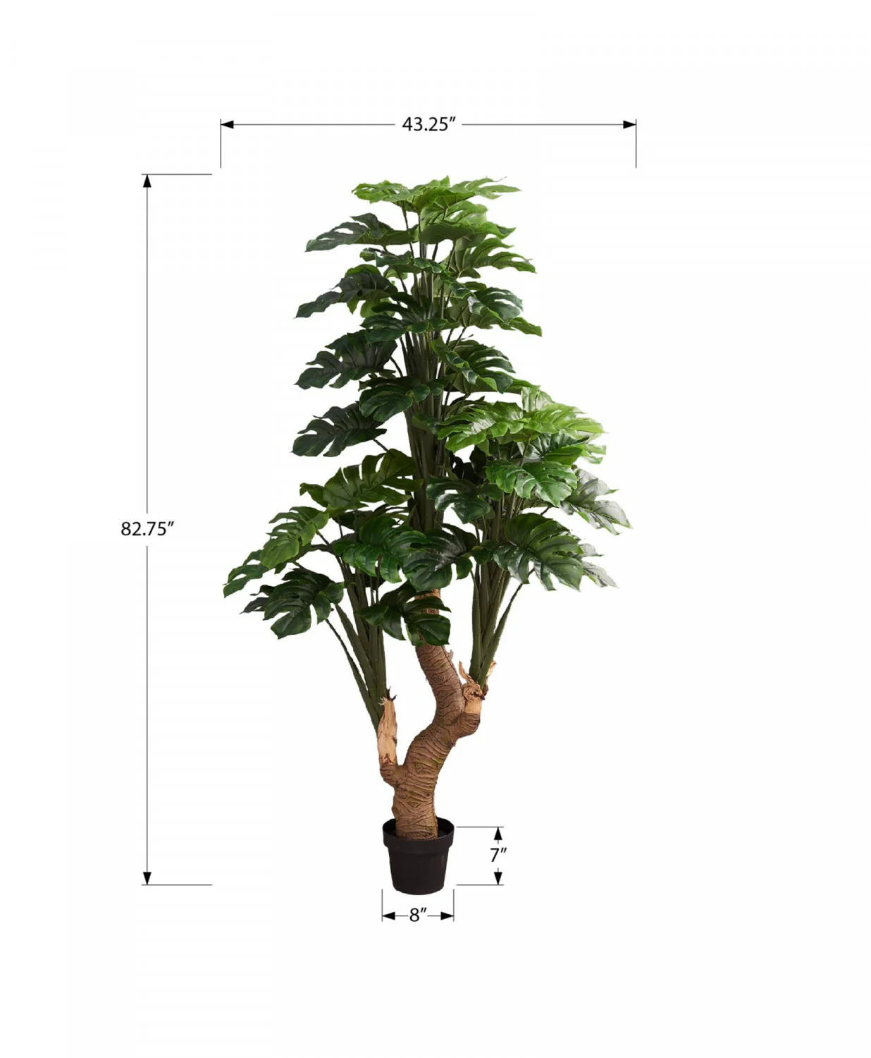 83" Monstera Tree With 8" Black Pot - Green - Image 3