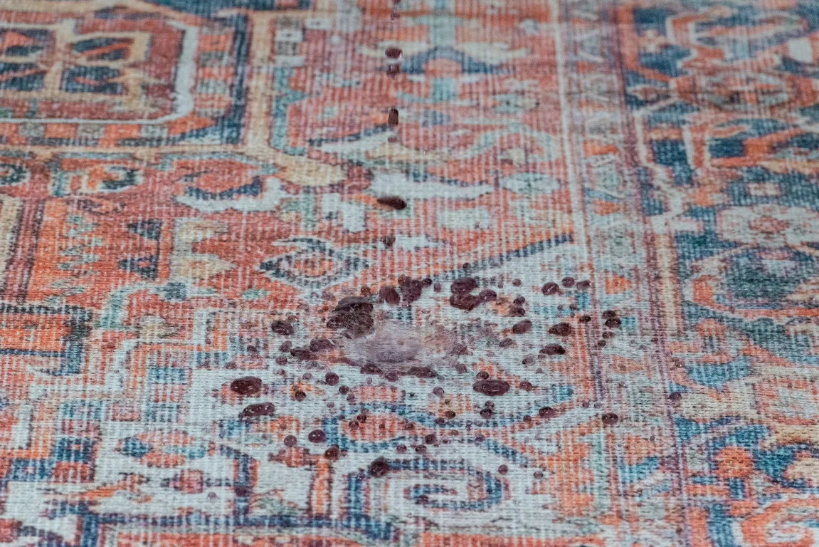 Aura Traditional Rug - 6' x 9' - Red/Blue - Image 5