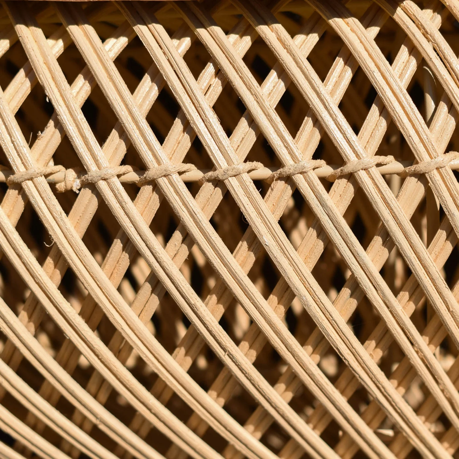 Bayan Wave Coffee Table - Natural - Image 8