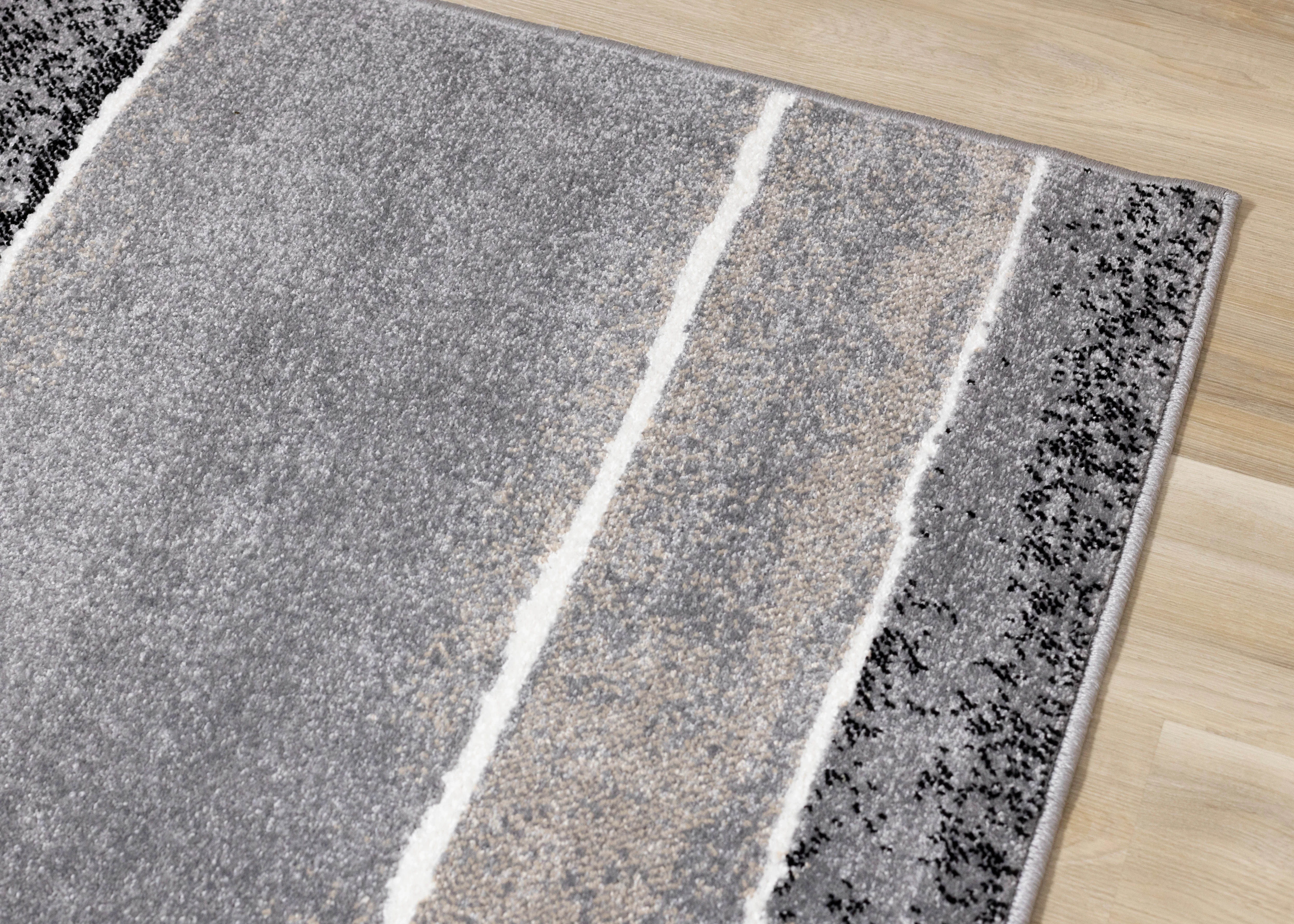 Century 5'3" x 7'7" Area Rug - Blue - Image 4