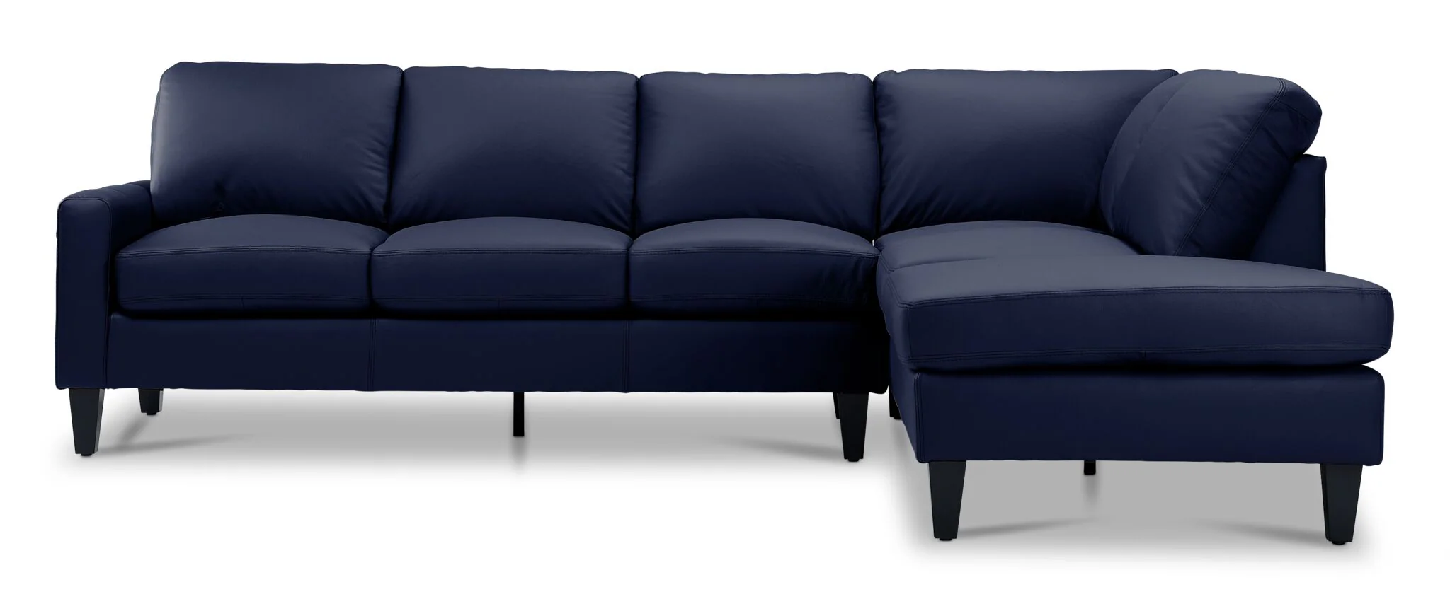 Chito Leather 2-Piece Sectional with Right Facing Chaise - Navy - Image 2
