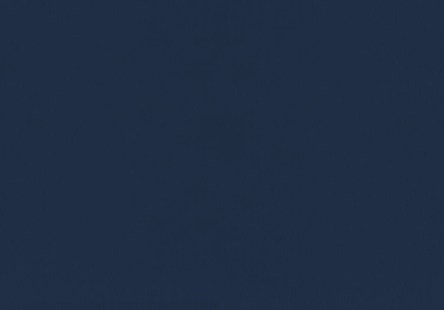 Felicity Twin Bed - Navy Blue - Image 5