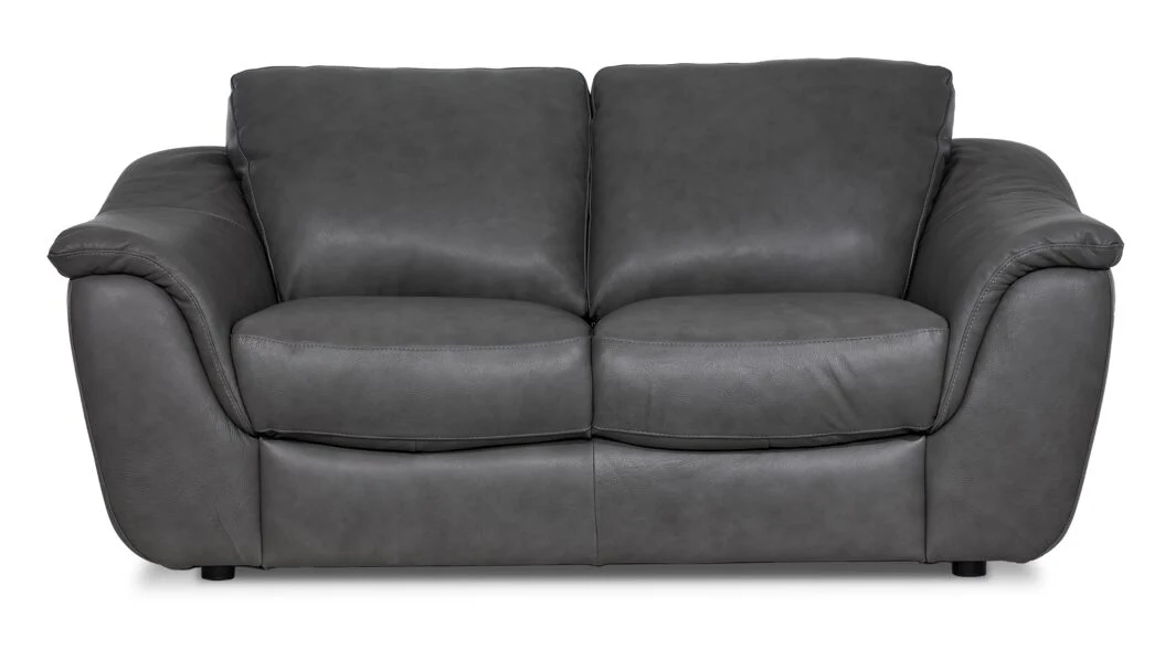 Harris Leather Loveseat - Grey - Image 2
