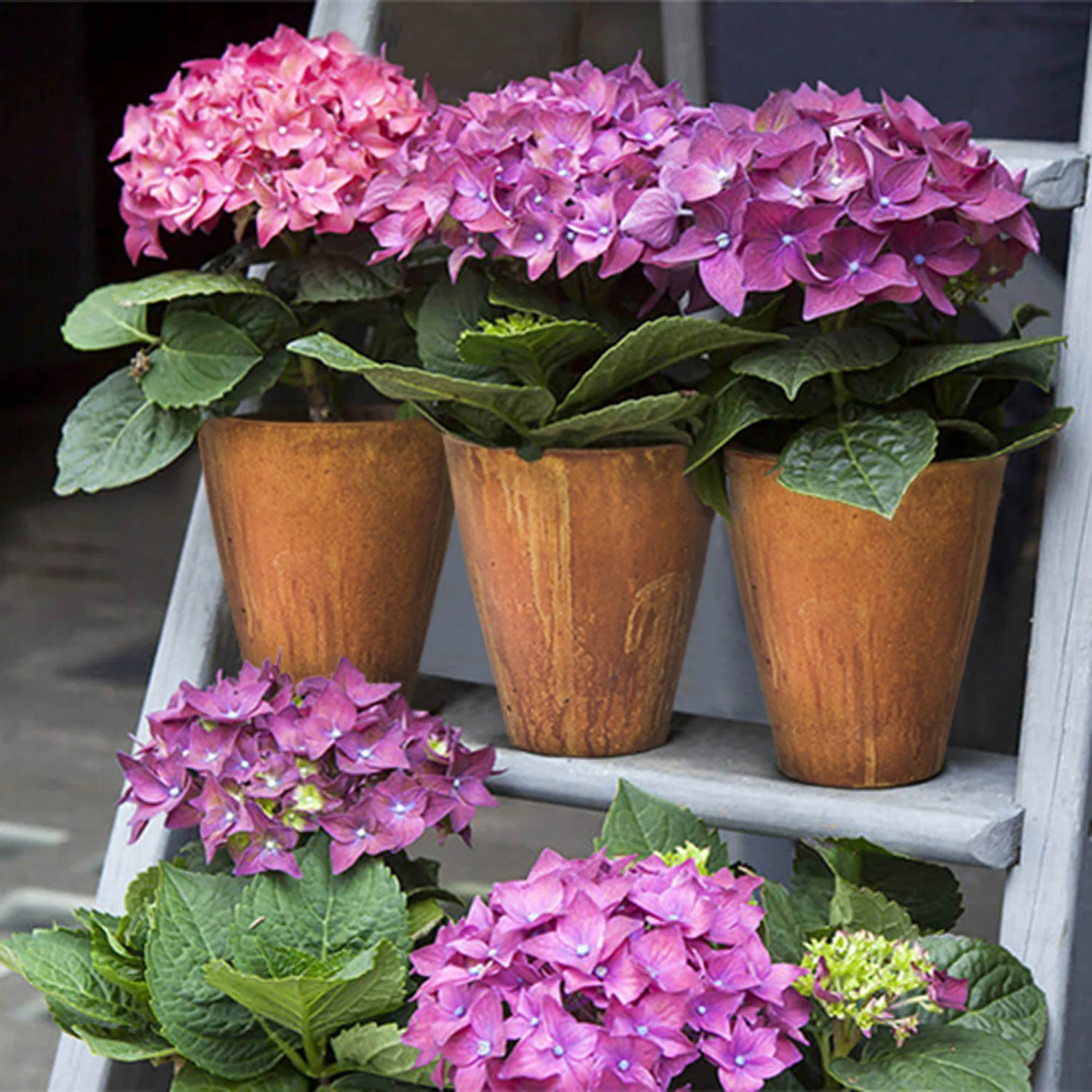 Heartholm Medium Planter - Corten - Image 4
