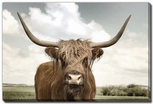 Highland Wisdom Wall Art - Brown - 22 X 28