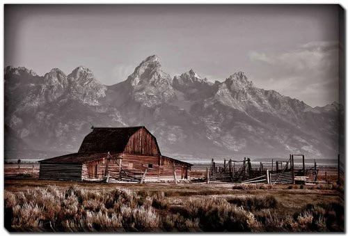 Homestead Horizon Wall Art - Brown - 38 X 60