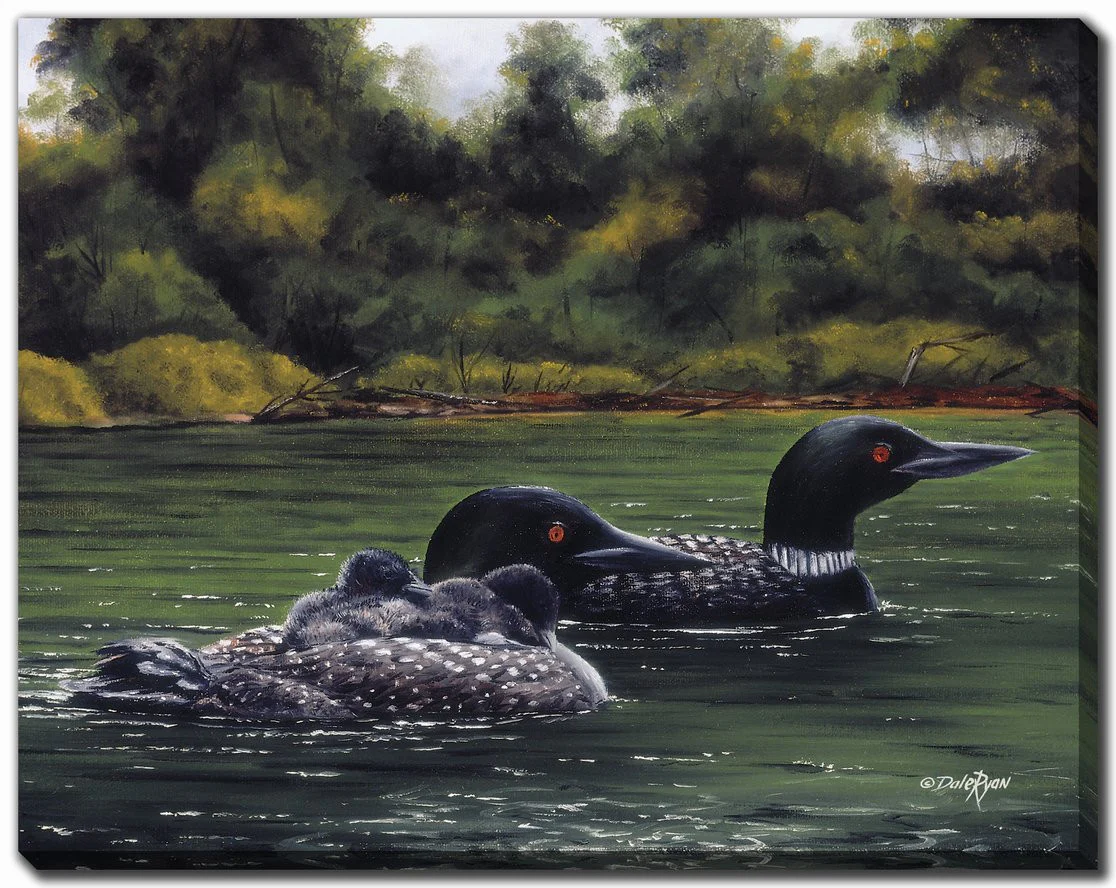 Loons on the Lake Wall Art - Green - 38 X 60